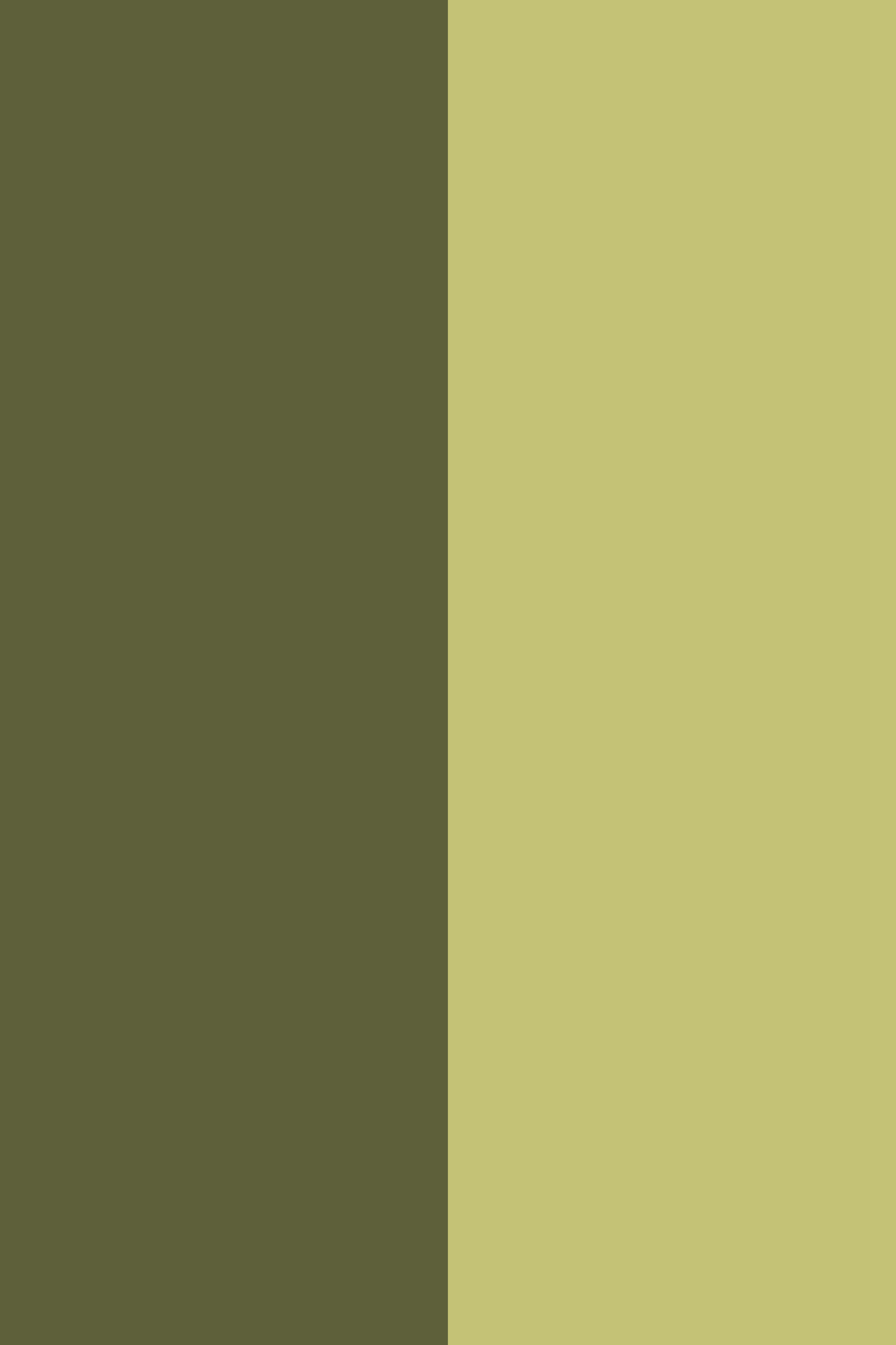 Olive Groove