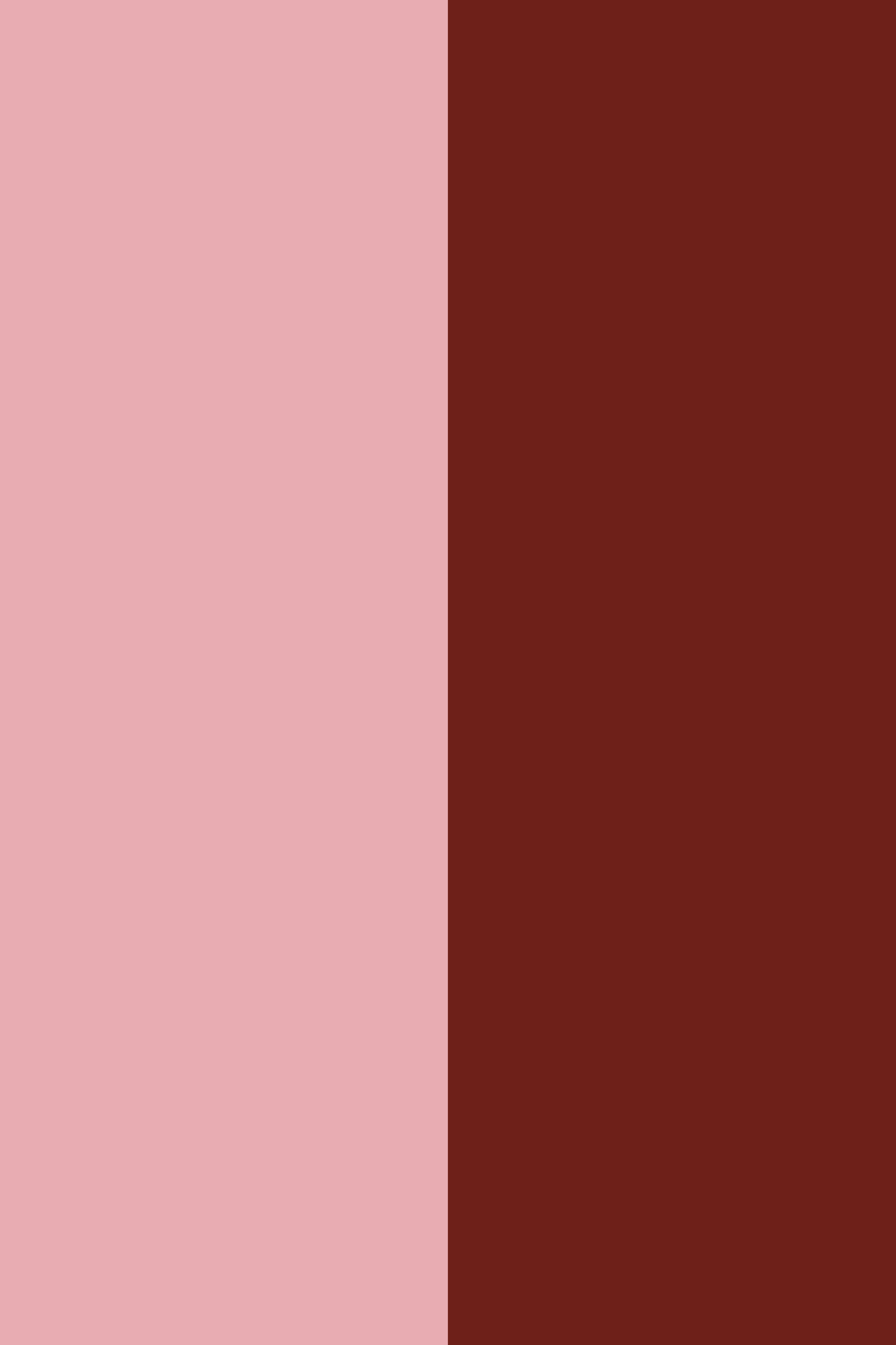 Soft Rose